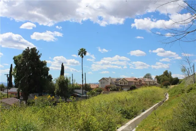 a view of a garden with a tree in the background