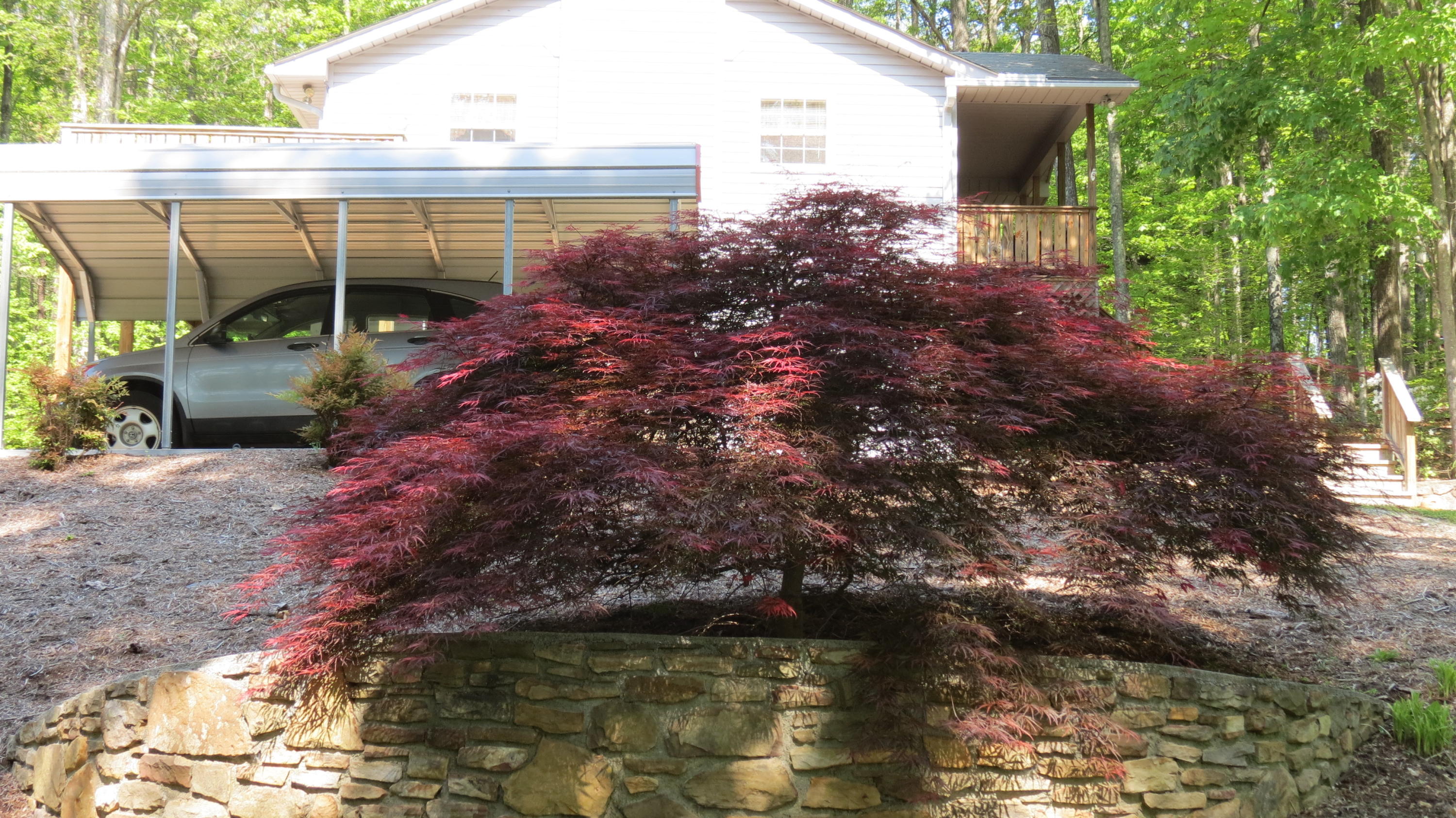 1394 Dewey Road Montvale, VA 24122 - Photo 4 of 32 IMG_4127