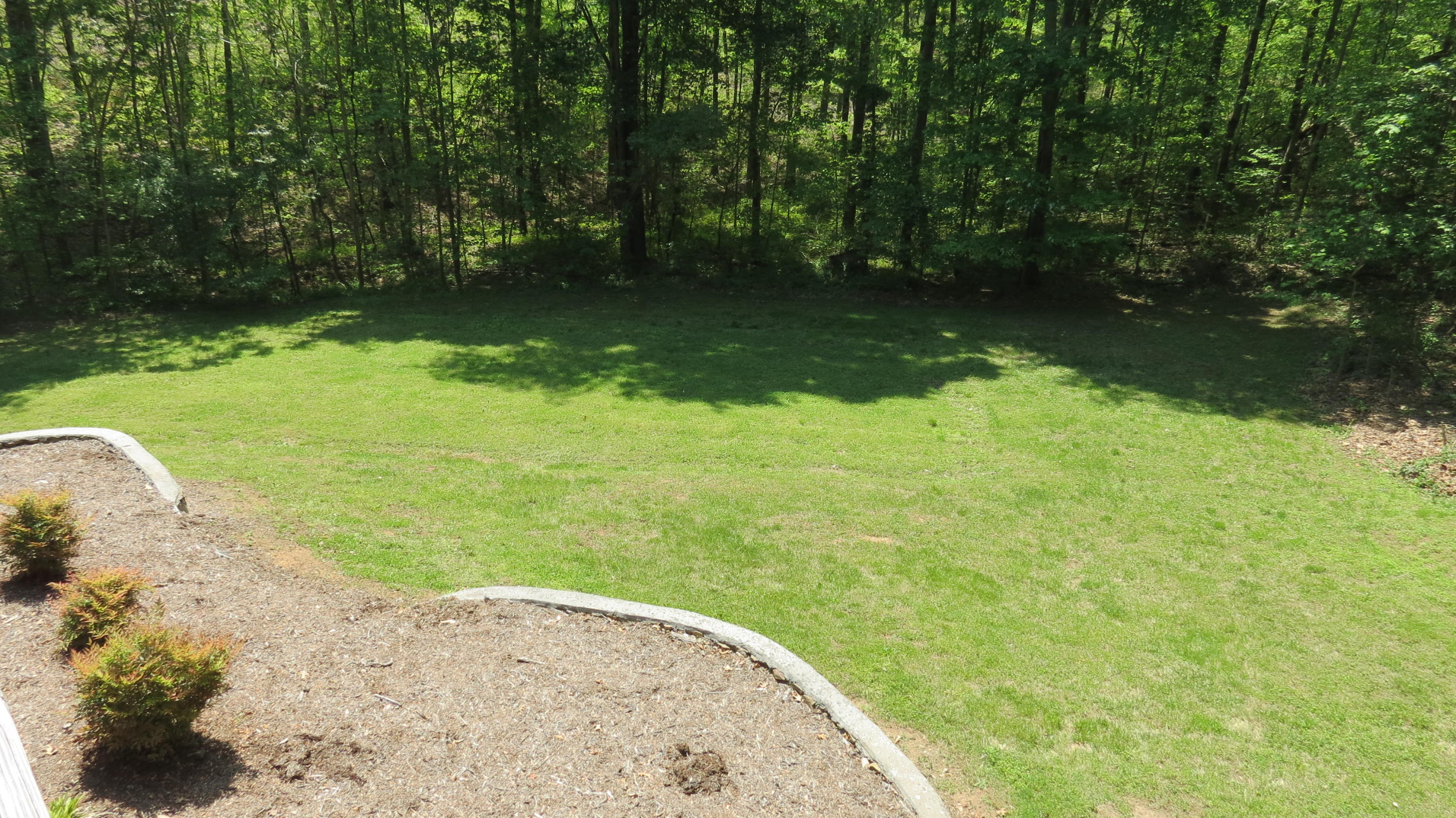 1394 Dewey Road Montvale, VA 24122 - Photo 7 of 32 IMG_4138