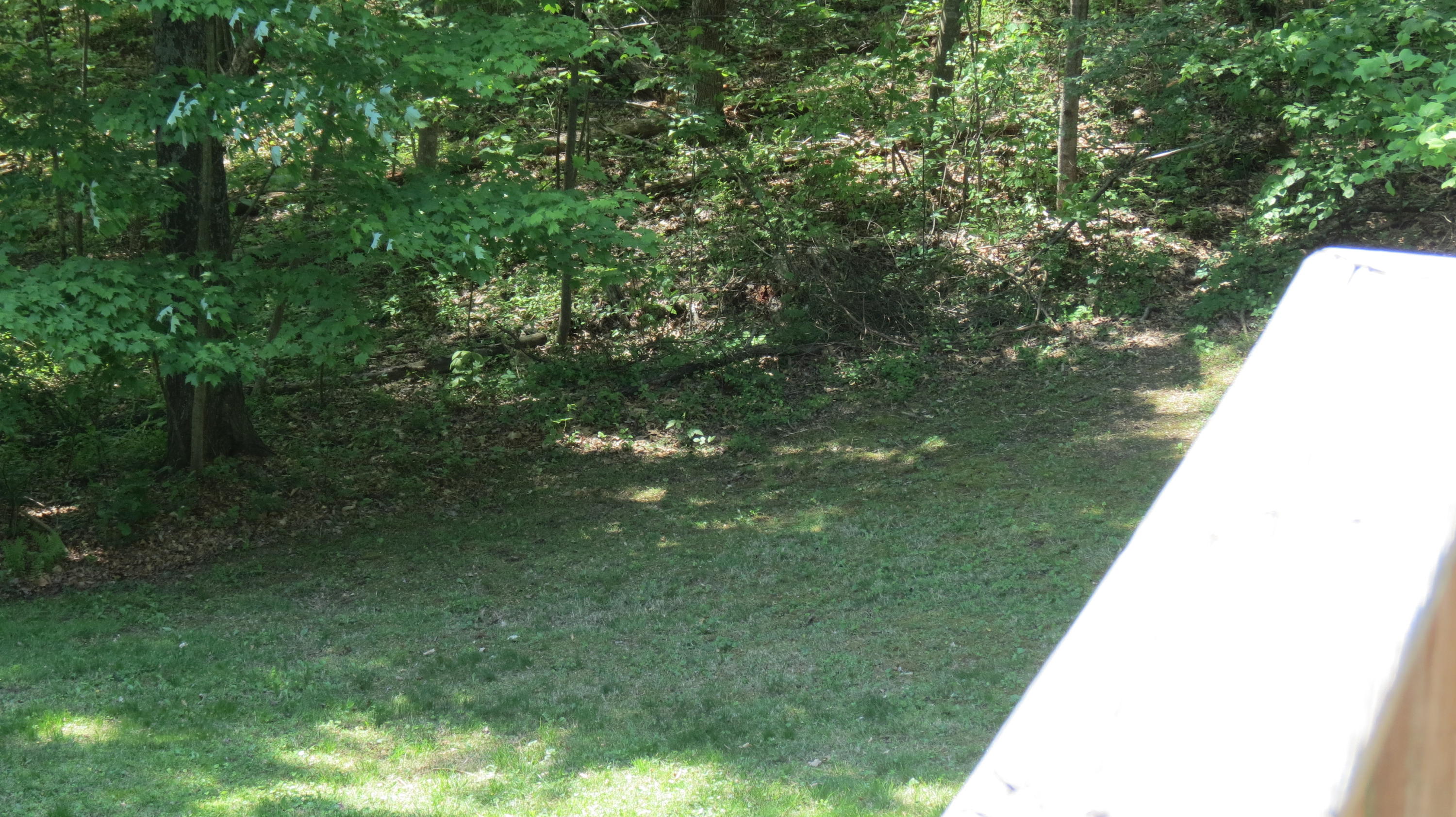 1394 Dewey Road Montvale, VA 24122 - Photo 9 of 32 IMG_4140
