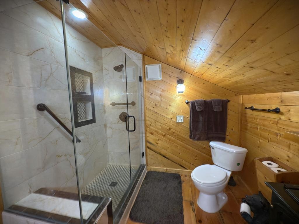 283 Bethlehem Road Rickman, TN 38580 - Photo 56 of 81 a bathroom with a toilet and a shower