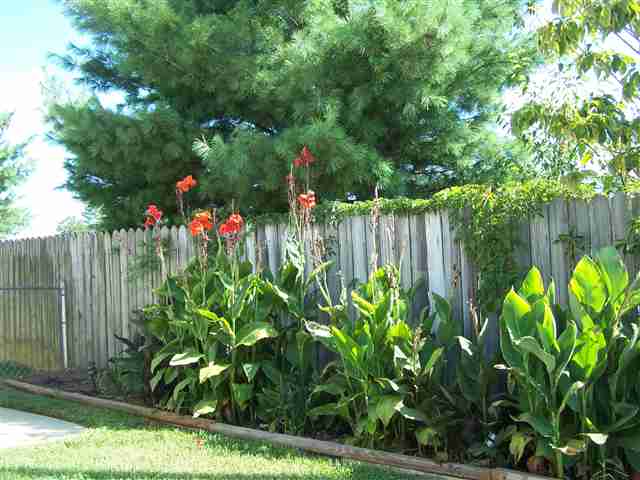 5 Fairview Road Greer, SC 29651 - Photo 3 of 4