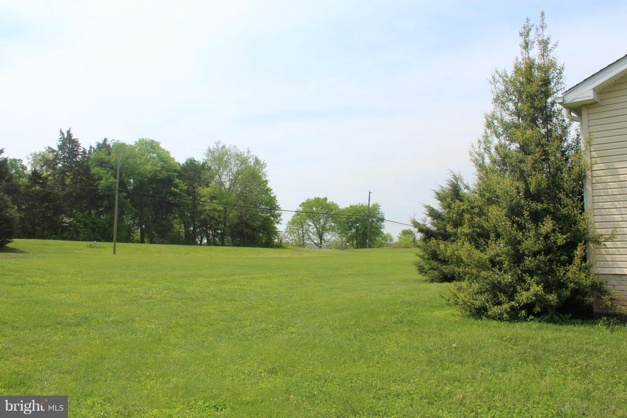 18155 Brandy Road Culpeper, VA 22701 - Photo 14 of 16 Front yard