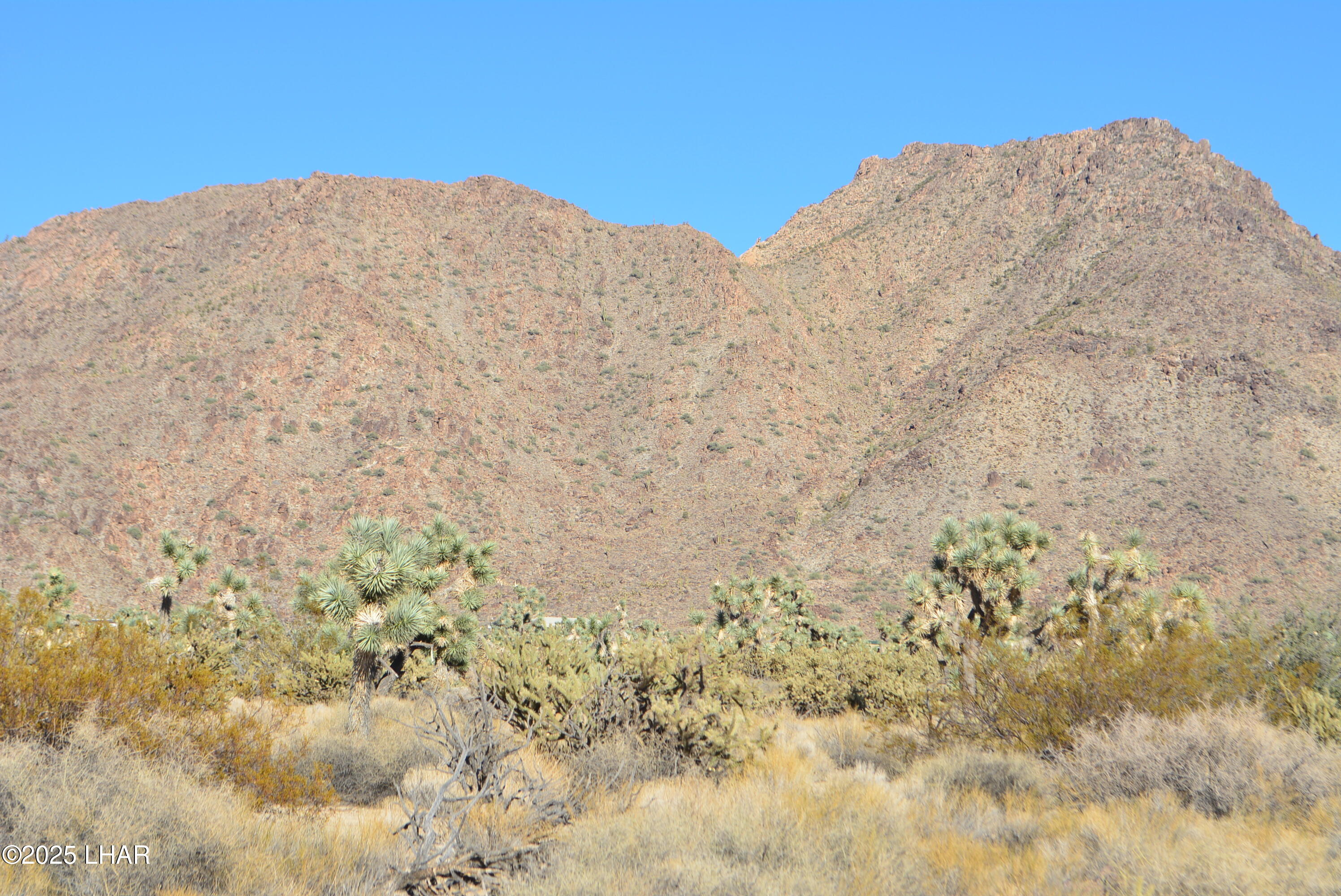 11900 Alan Road Yucca, AZ 86438 - Photo 34 of 93 DSC_0374