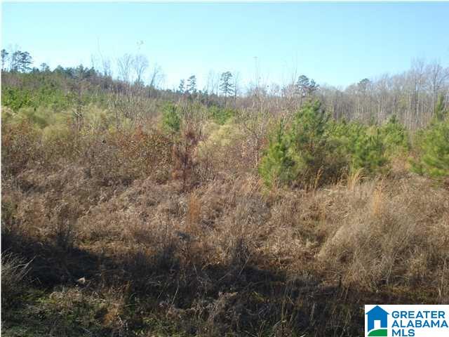 0 Kinard Road, Unit METES AND BOUNDS Brent, AL 35034 - Photo 3 of 4 Gallery Image 3