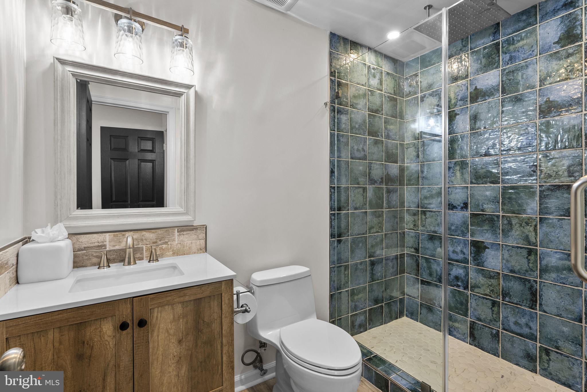 2924 Winters Chase Way Annapolis, MD 21401 - Photo 44 of 67 a bathroom with a sink a toilet and shower