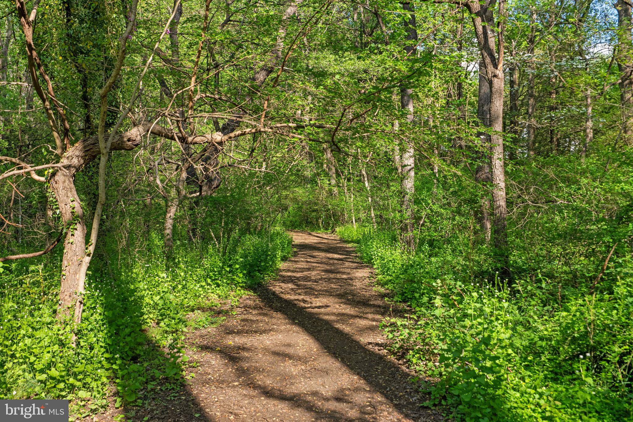 2924 Winters Chase Way Annapolis, MD 21401 - Photo 53 of 67 a view of a pathway of a park