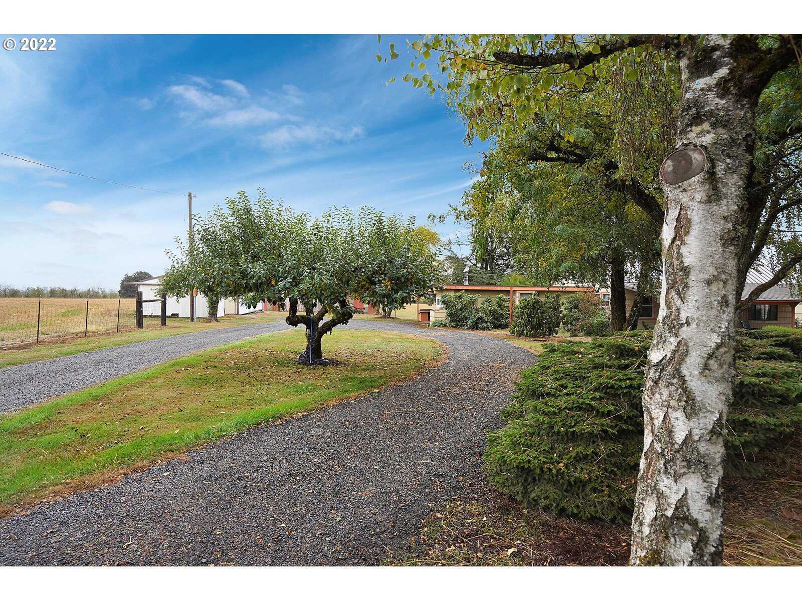 11145 Whiteaker Road Dallas, OR 97338 - Photo 4 of 32 a view of a park with large trees
