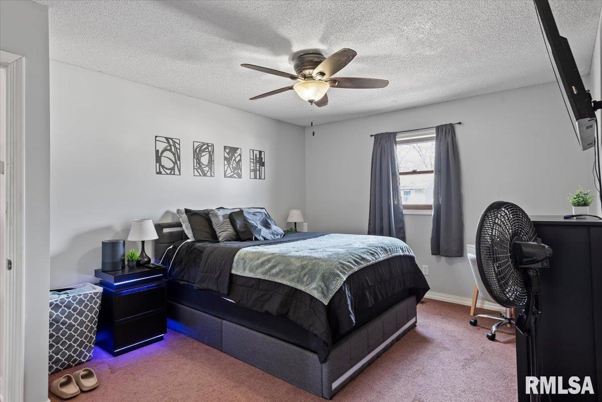 904 Diane Court Springfield, IL 62702 - Photo 13 of 25