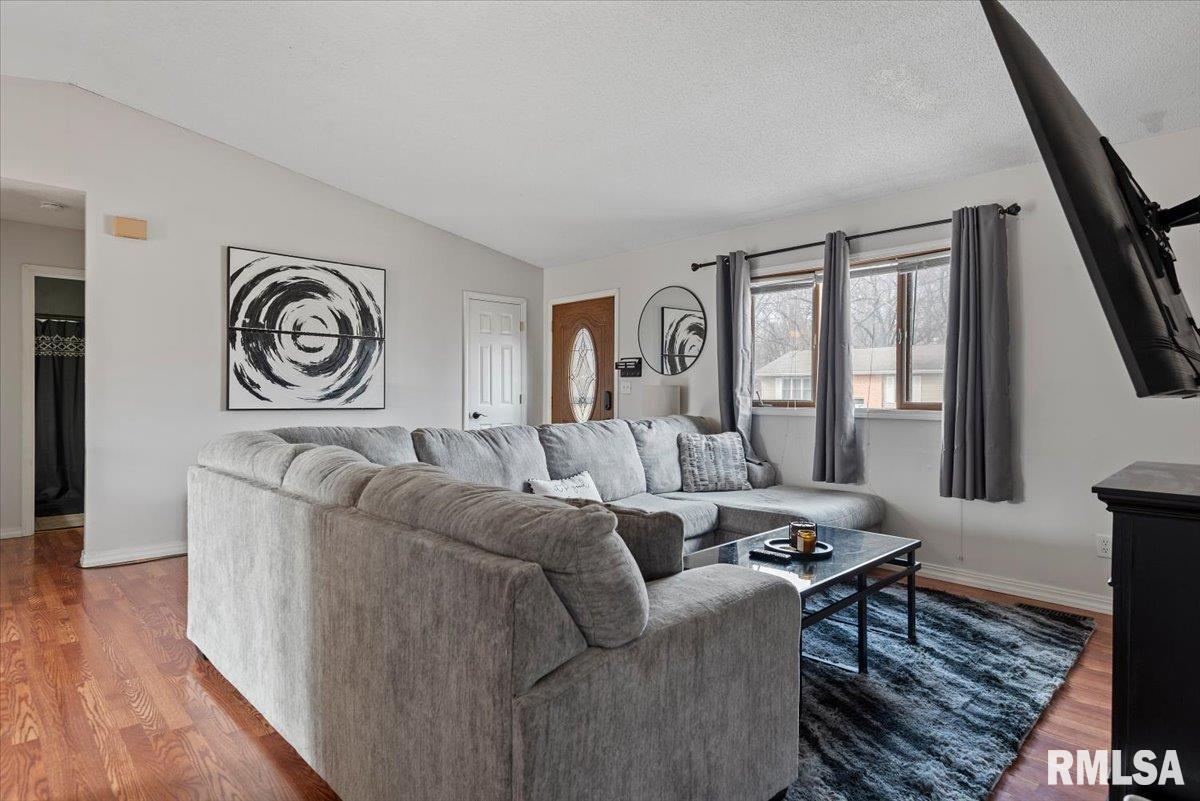 904 Diane Court Springfield, IL 62702 - Photo 4 of 25