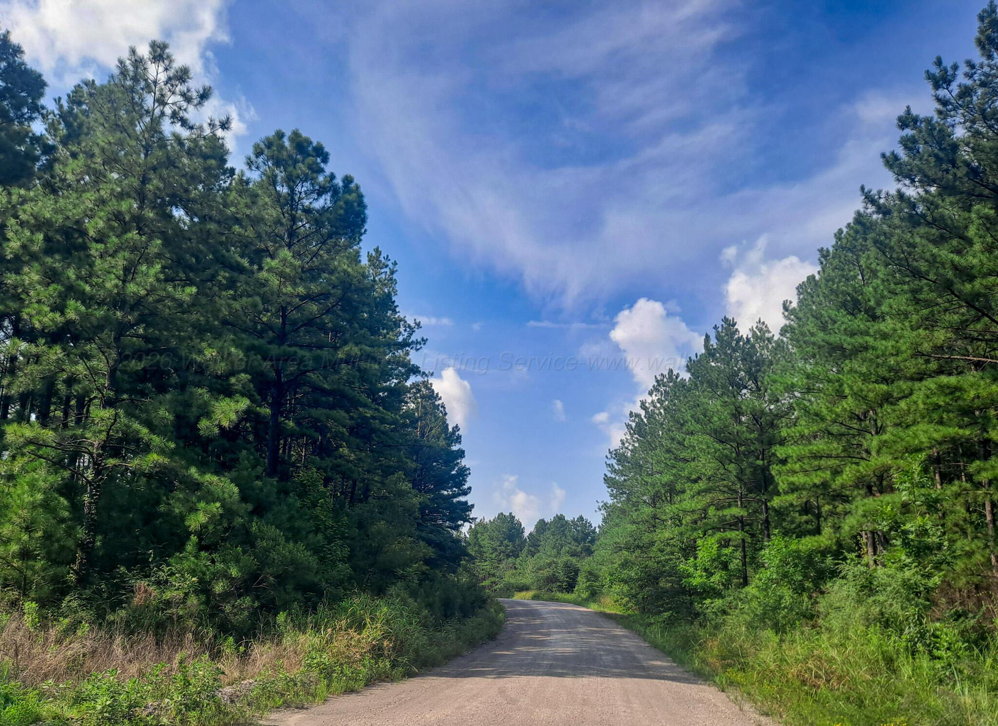 Mcdade Road Carbon Hill, AL 35549 - Photo 4 of 21 Gallery Image 4