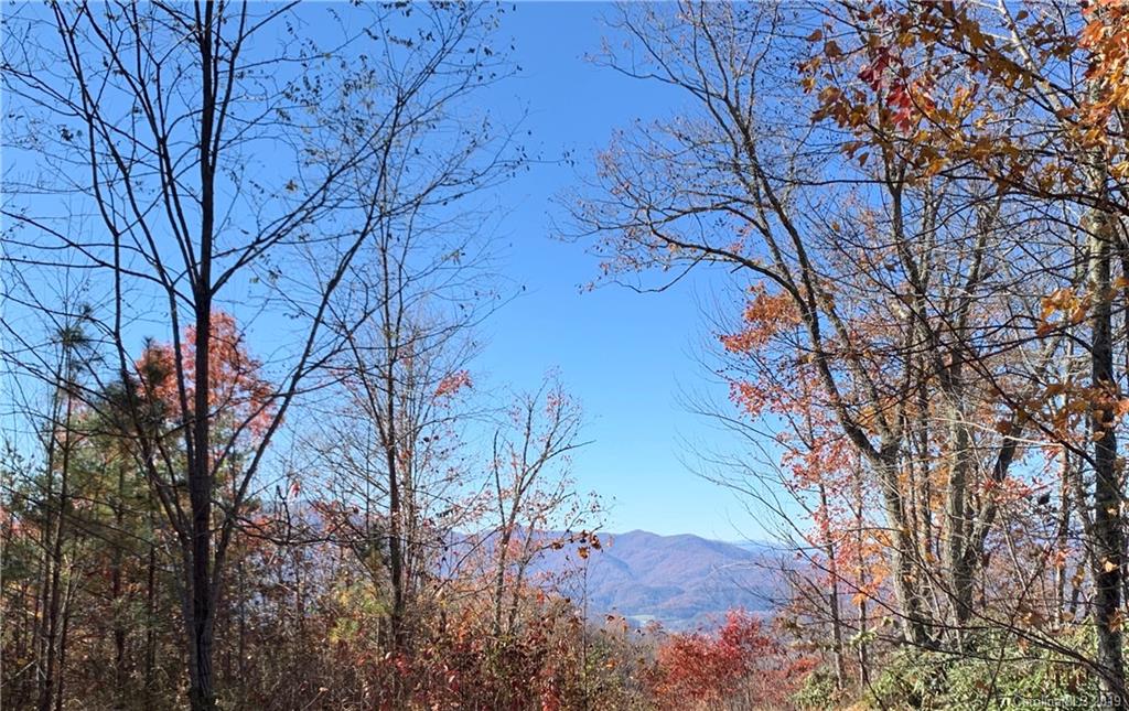 0 Sparkling Falls Road Whittier, NC 28789 - Photo 1 of 1 Gallery Image 1