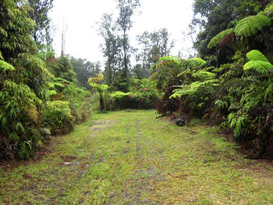 11-3003 Kahaualea Road Volcano, HI 96771 - Photo 4 of 7 a view of a garden