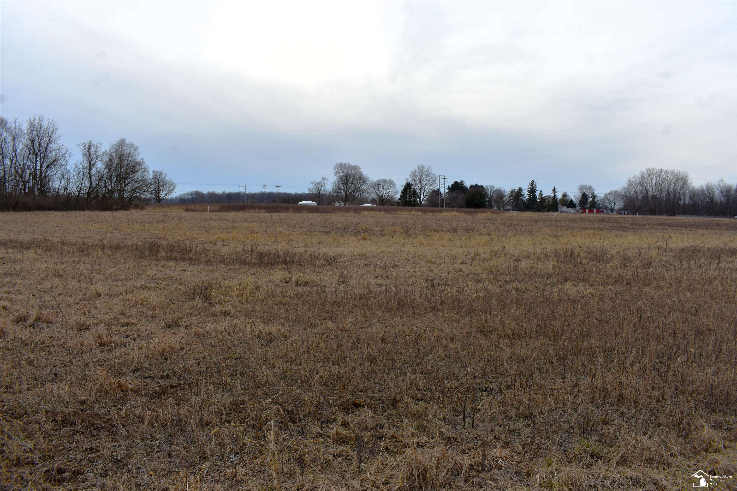 1 Wells Road Milan, MI 48160 - Photo 2 of 5