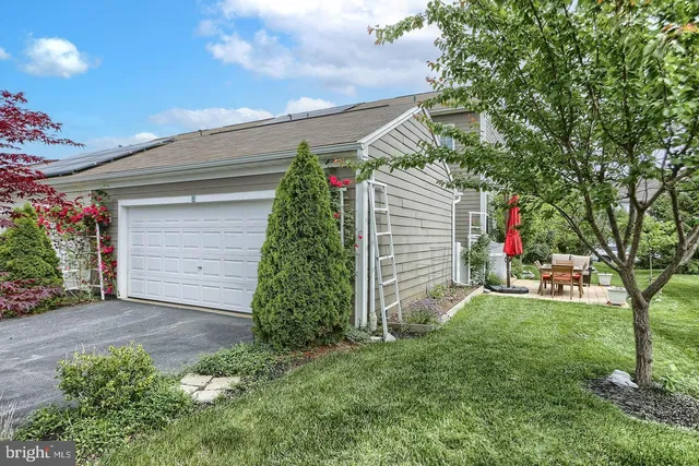 a view of a backyard with potted plants and large tree