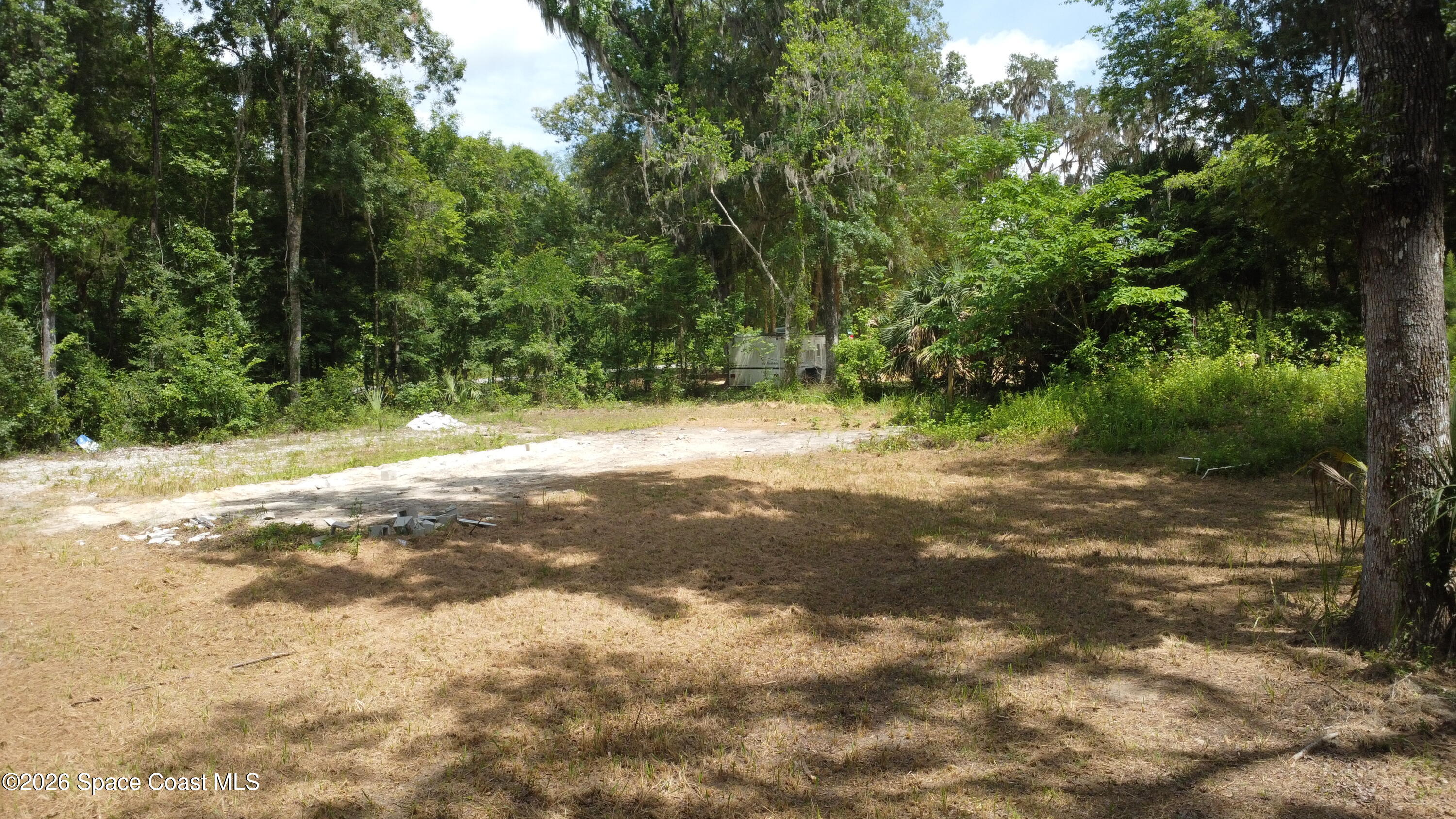1130 Southwest 133rd Ave Road Ocala, FL 34481 - Photo 3 of 6 a view of road with trees