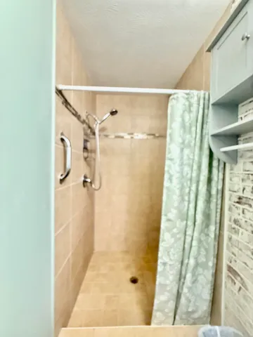 a white toilet sitting next to a shower curtain