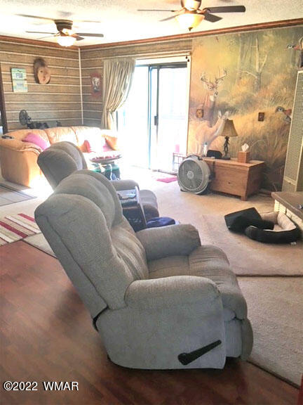 4 County Rd N2148 Alpine, AZ 85920 - Photo 6 of 11 Gallery Image 6