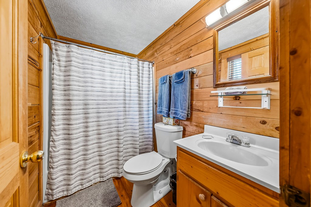2136 Hines Gap Road Warm Springs, GA 31830 - Photo 38 of 63 a bathroom with a sink a toilet and shower curtain