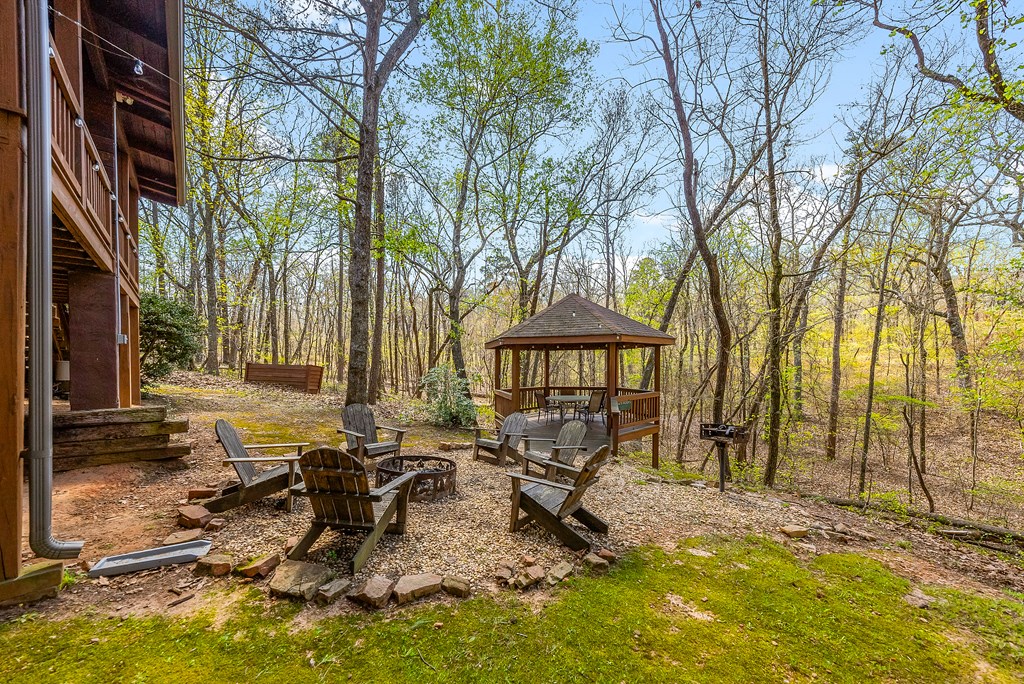 2136 Hines Gap Road Warm Springs, GA 31830 - Photo 57 of 63 a view of a house with backyard and sitting area