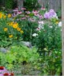 108 Forest Road Dingmans Ferry, PA 18328 - Photo 24 of 26 Garden