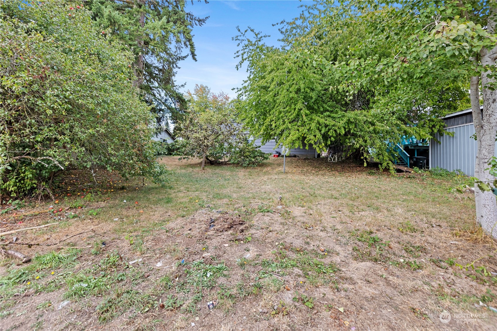 6215 Rockefeller Avenue Everett, WA 98203 - Photo 29 of 36 a view of a yard with plants and large trees