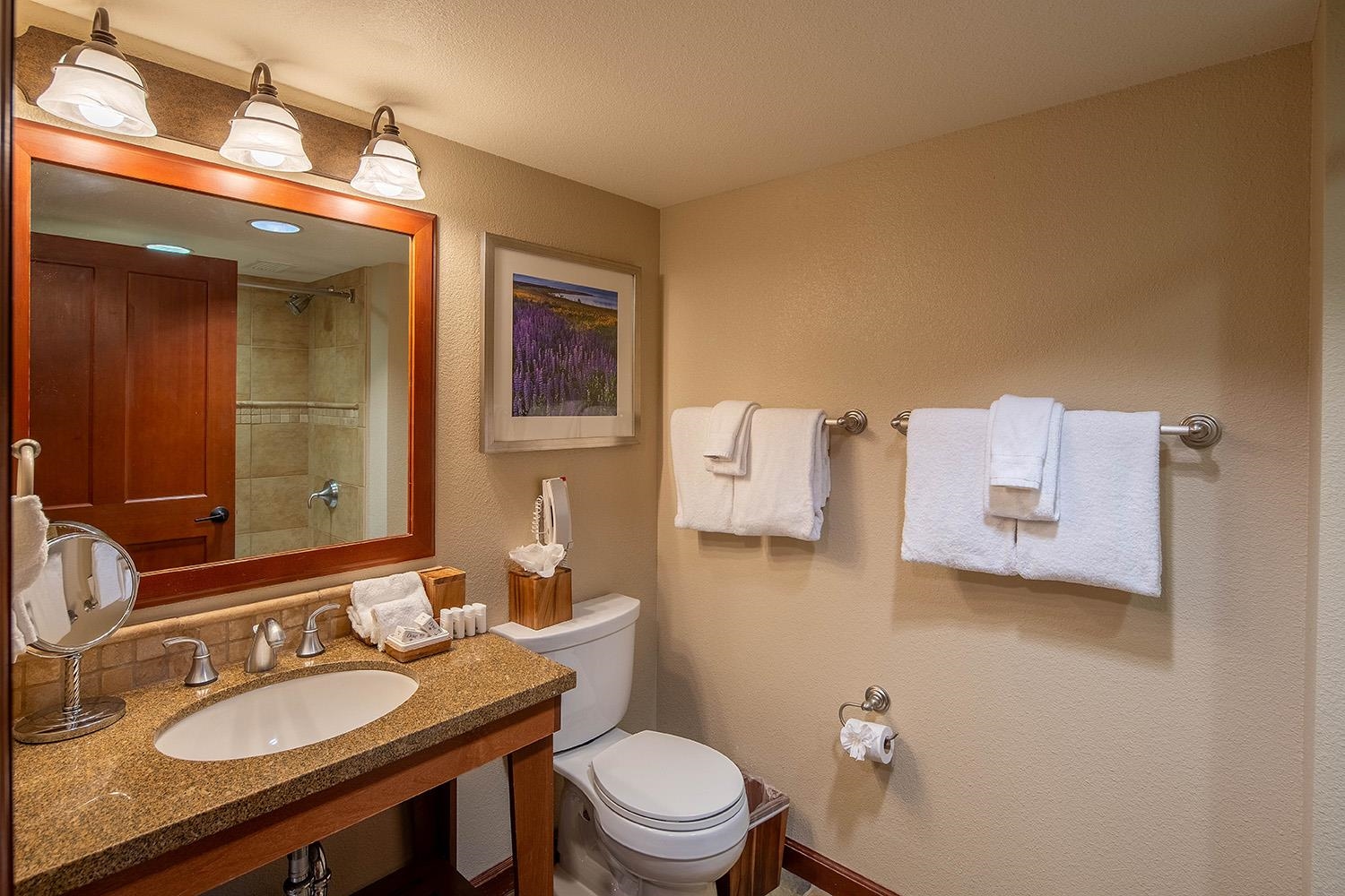 400 Resort Road, Unit 556 558 560 Olympic Valley, CA 96146 - Photo 17 of 21