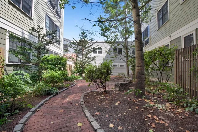 a view of a garden with plants and large trees