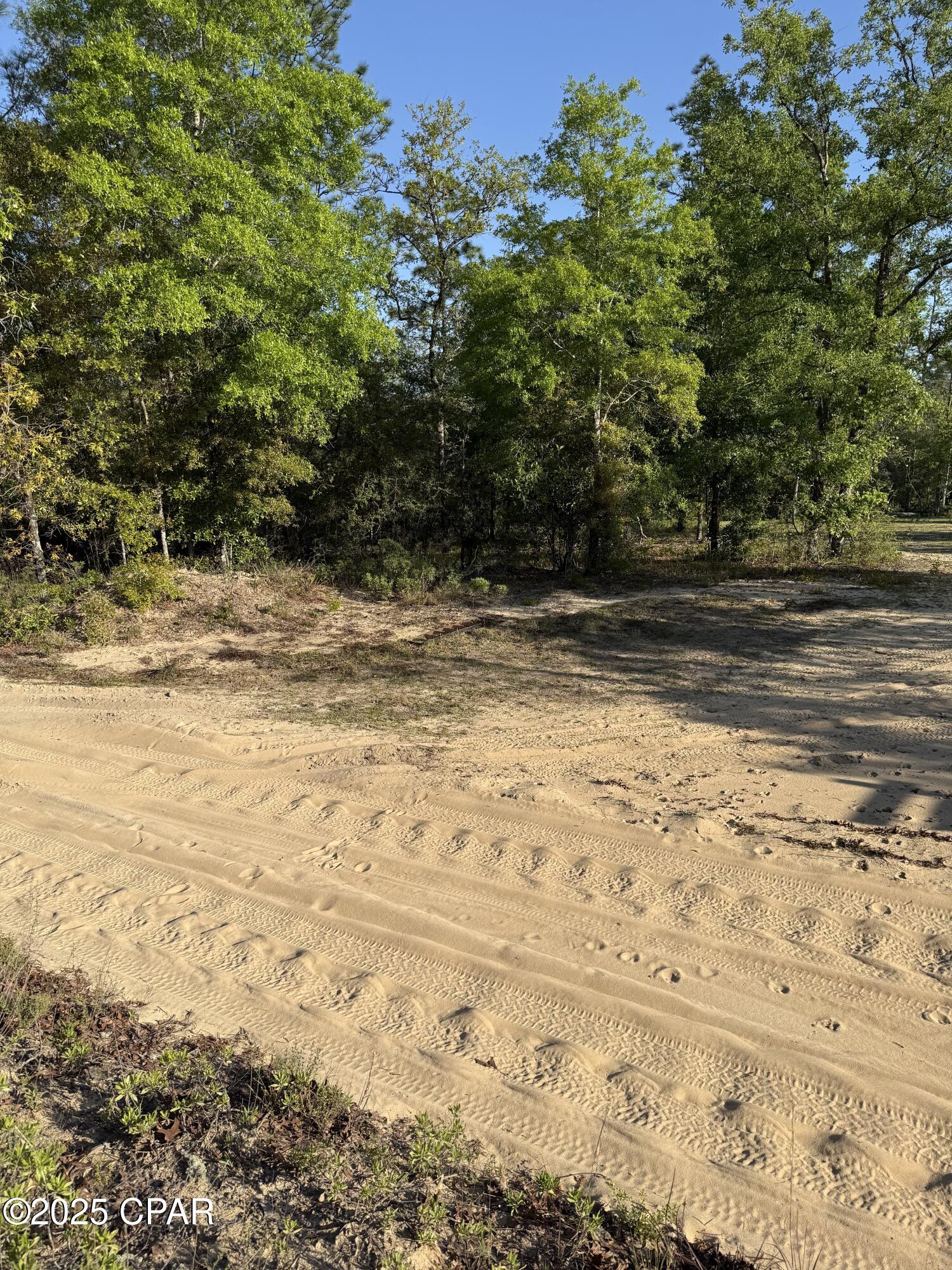 516 Goshun Creek Road Chipley, FL 32428 - Photo 11 of 20