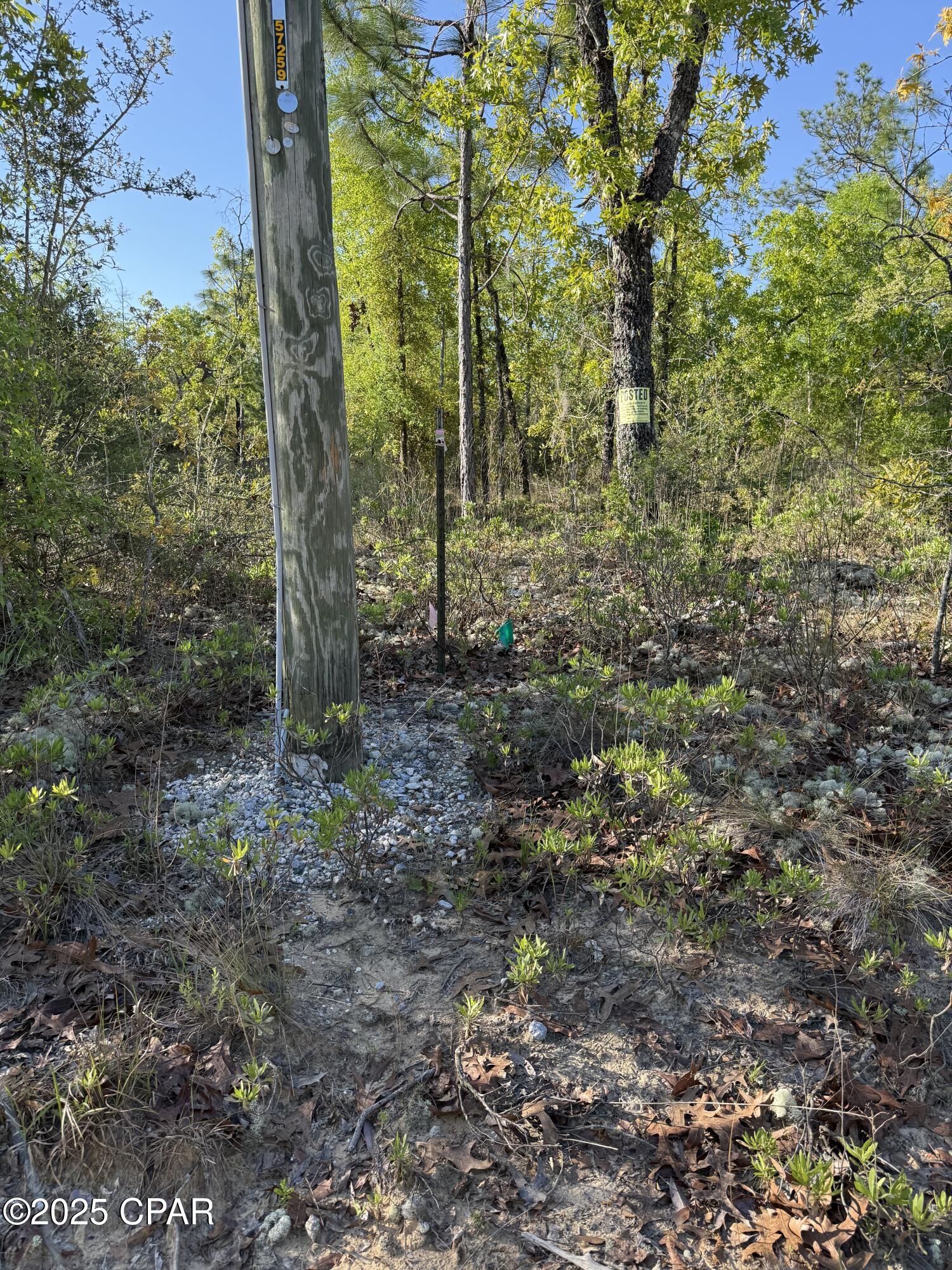 516 Goshun Creek Road Chipley, FL 32428 - Photo 12 of 20