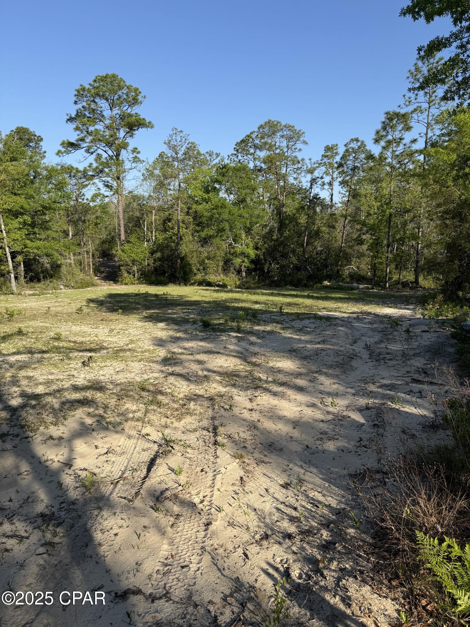 516 Goshun Creek Road Chipley, FL 32428 - Photo 16 of 20