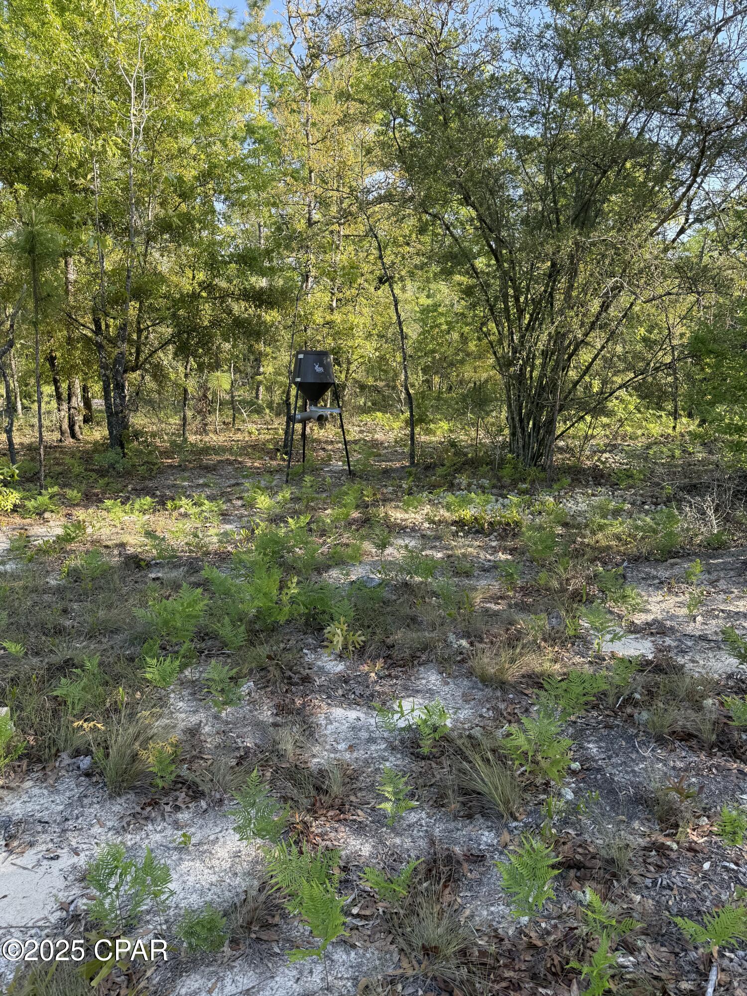 516 Goshun Creek Road Chipley, FL 32428 - Photo 18 of 20