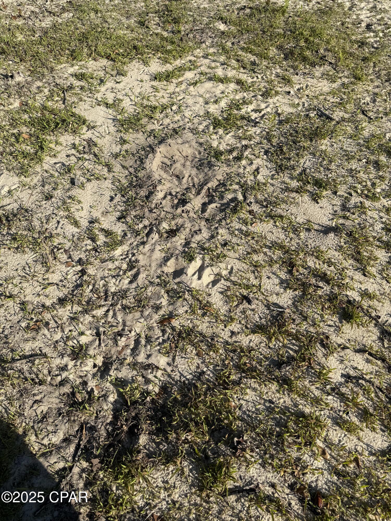 516 Goshun Creek Road Chipley, FL 32428 - Photo 20 of 20