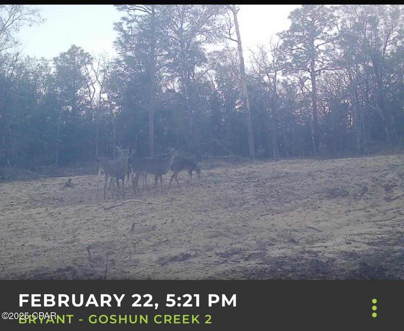 516 Goshun Creek Road Chipley, FL 32428 - Photo 2 of 20