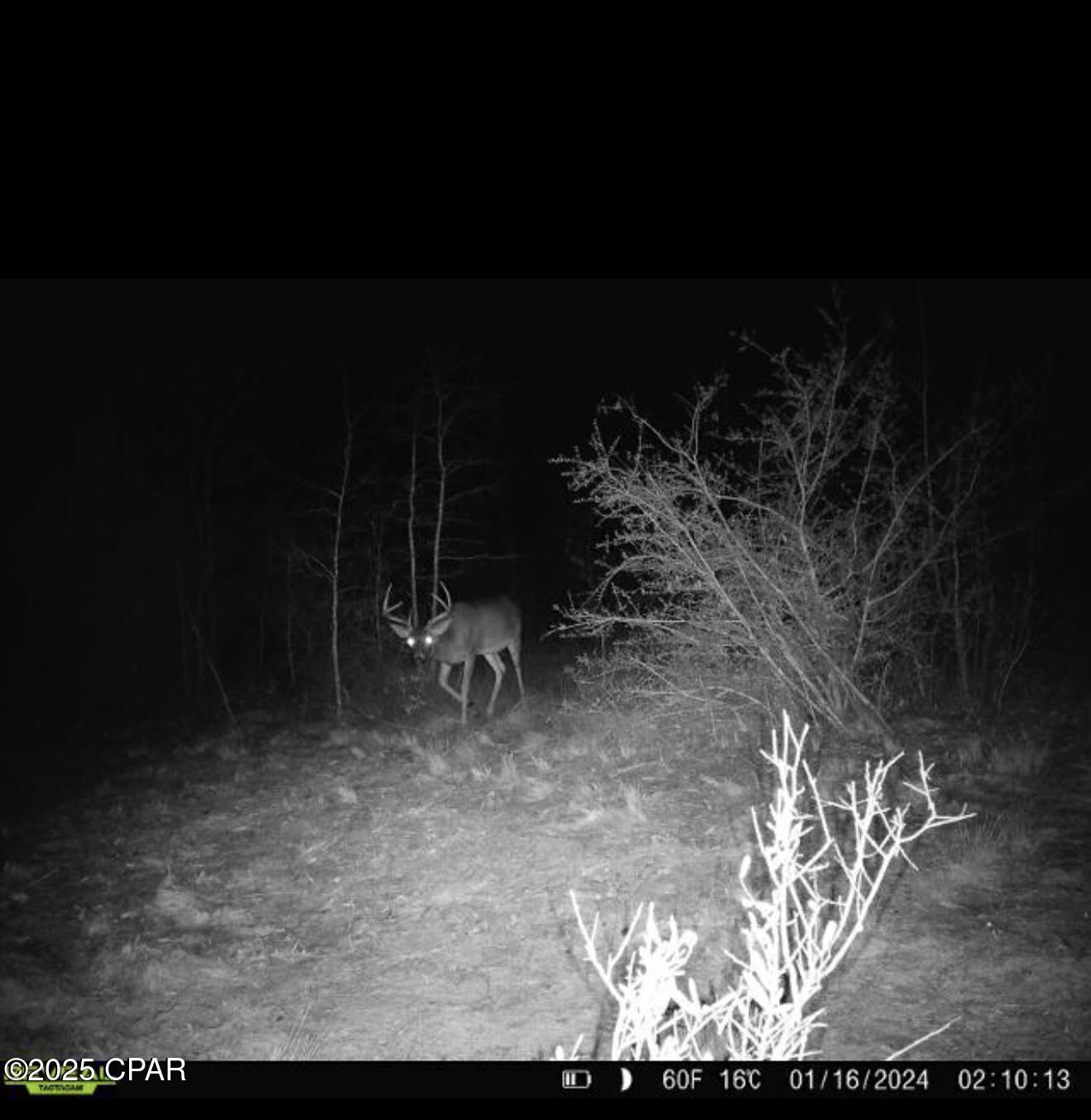 516 Goshun Creek Road Chipley, FL 32428 - Photo 3 of 20