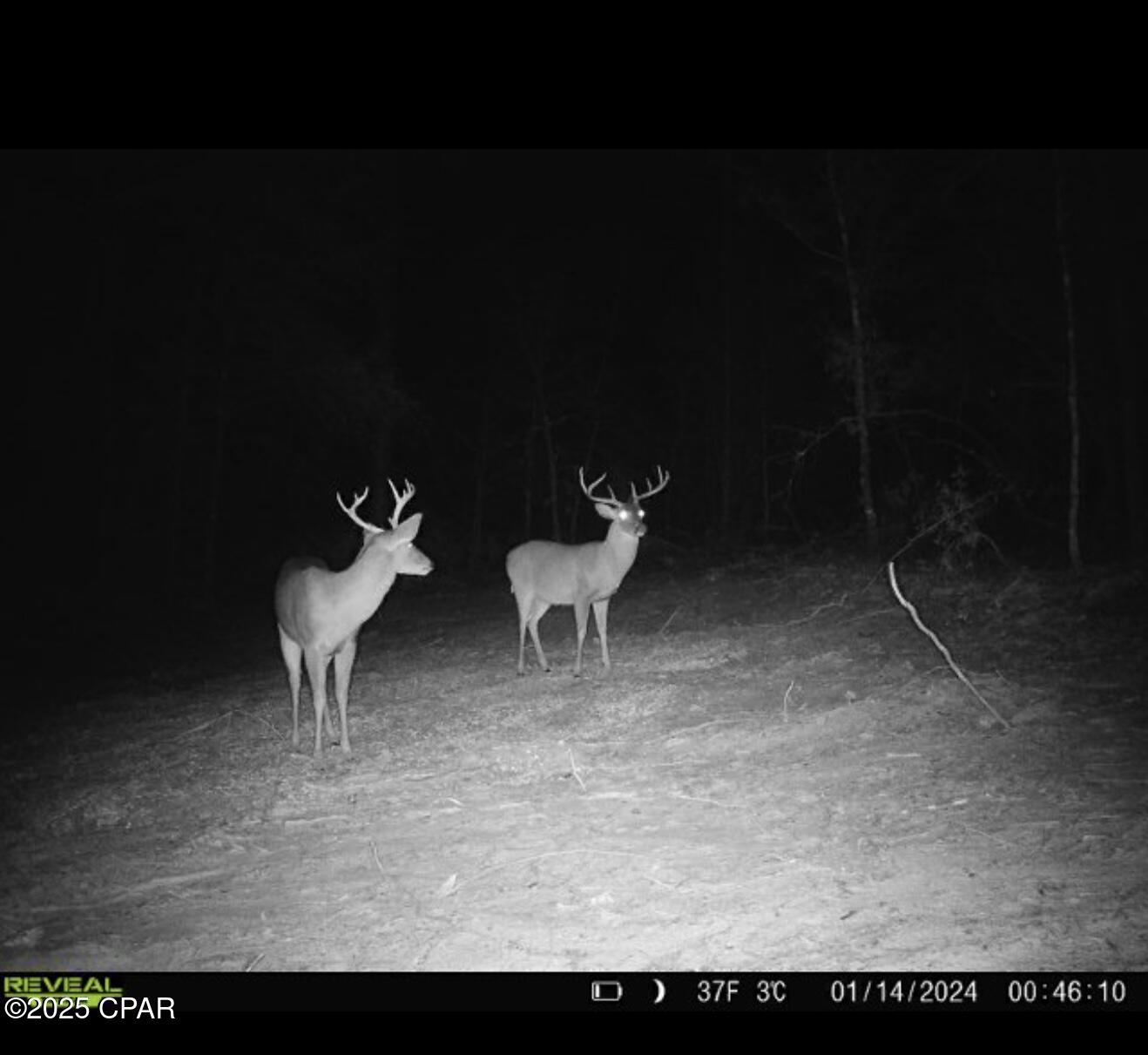 516 Goshun Creek Road Chipley, FL 32428 - Photo 4 of 20