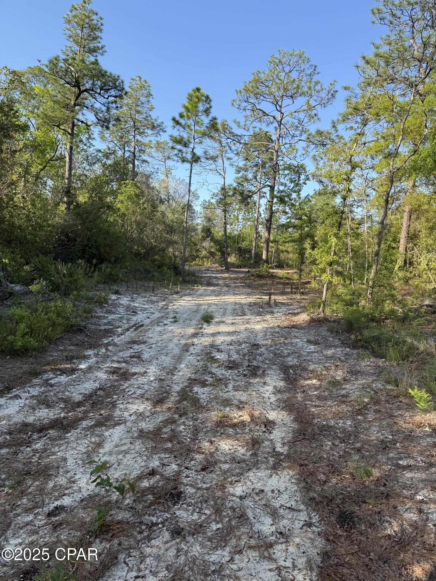 516 Goshun Creek Road Chipley, FL 32428 - Photo 7 of 20