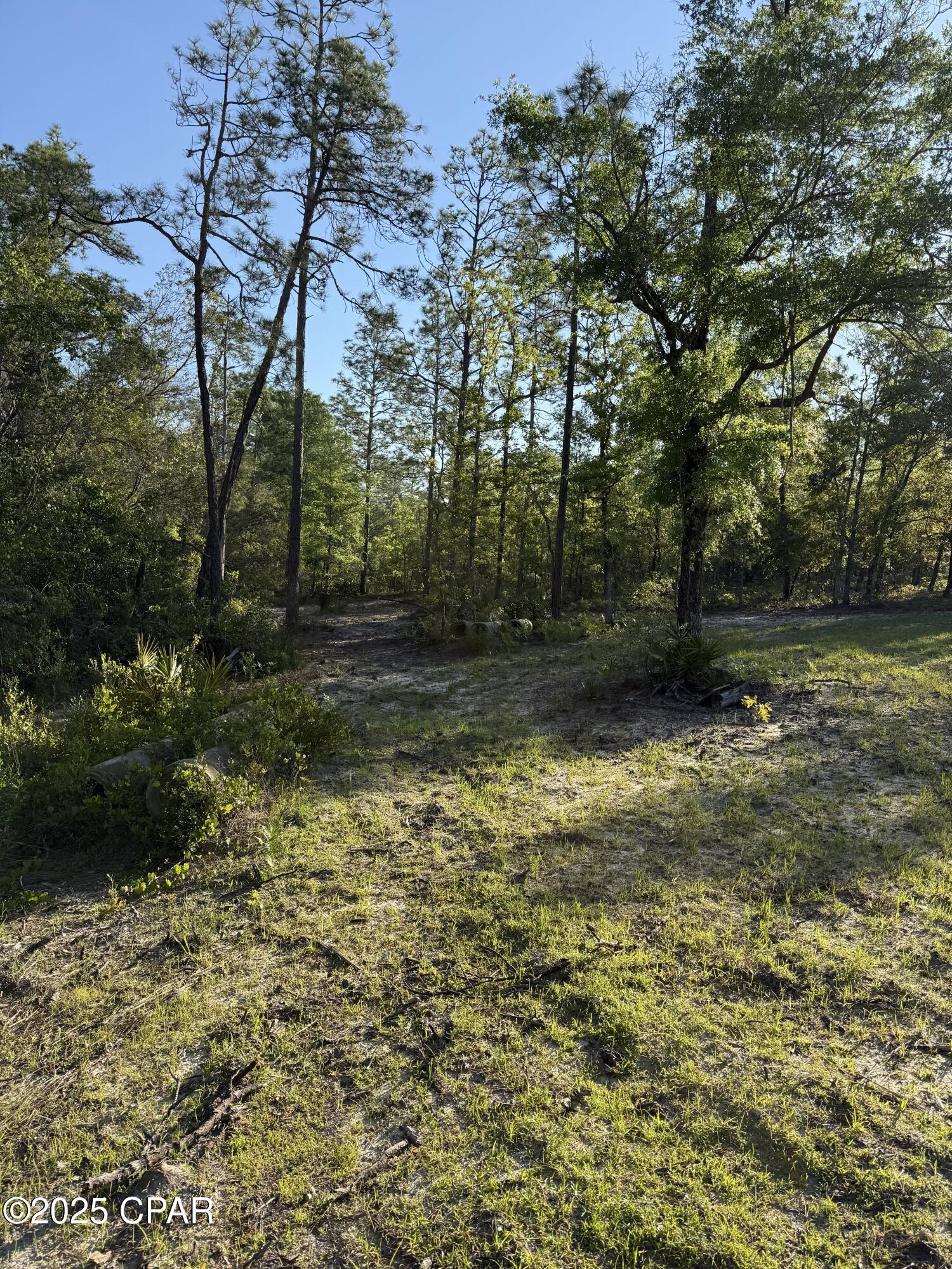 516 Goshun Creek Road Chipley, FL 32428 - Photo 8 of 20