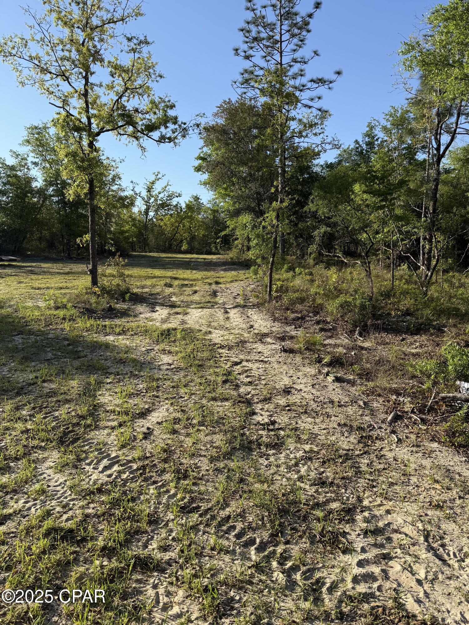 516 Goshun Creek Road Chipley, FL 32428 - Photo 9 of 20