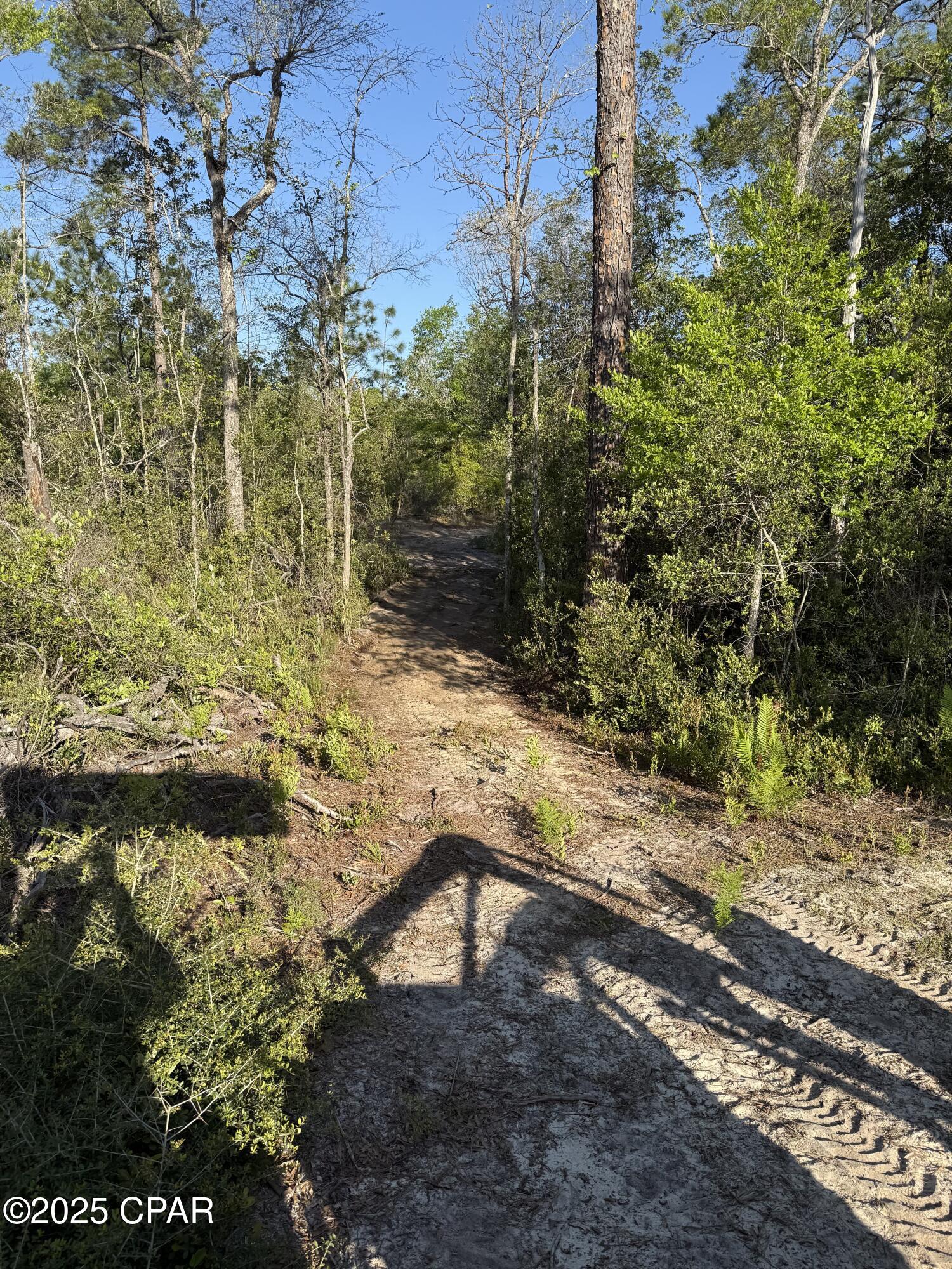 516 Goshun Creek Road Chipley, FL 32428 - Photo 10 of 20