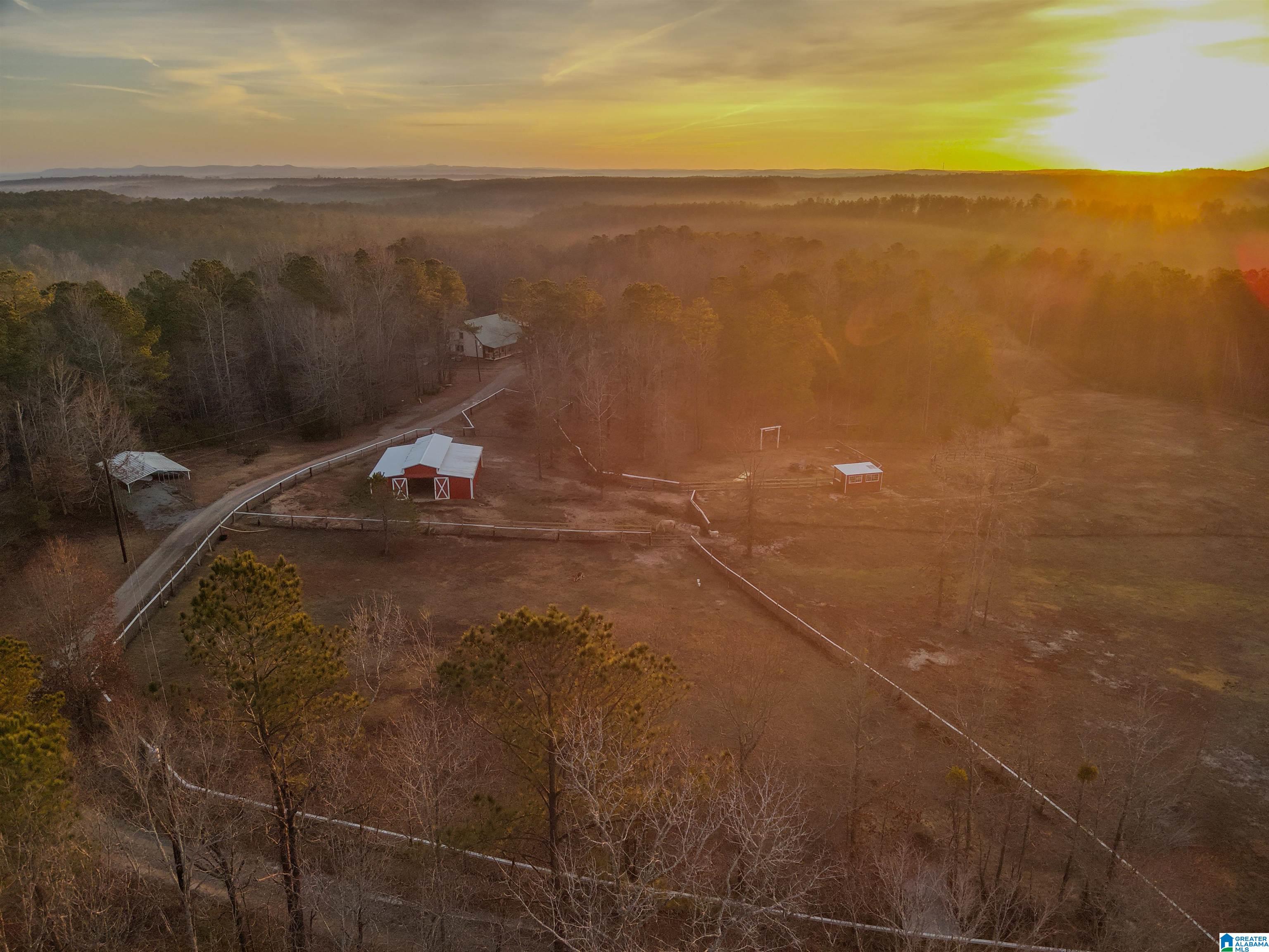 1129 County Road 252 Clanton, AL 35046 - Photo 4 of 36
