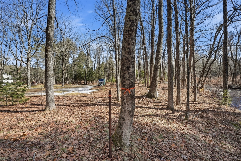 5 Torrey Street Easthampton, MA 01027 - Photo 25 of 36