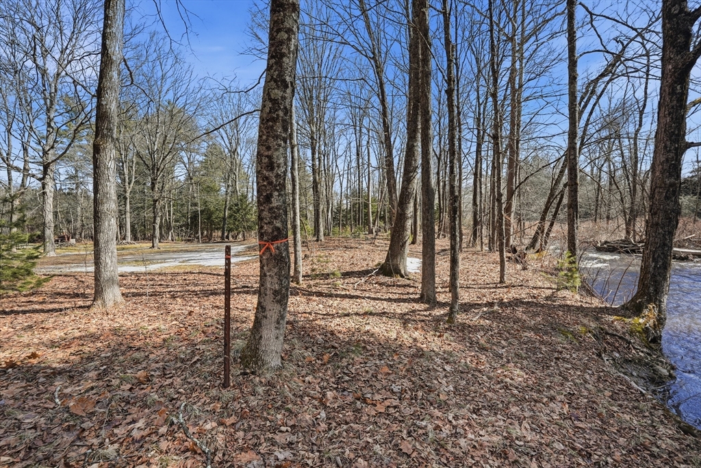 5 Torrey Street Easthampton, MA 01027 - Photo 26 of 36