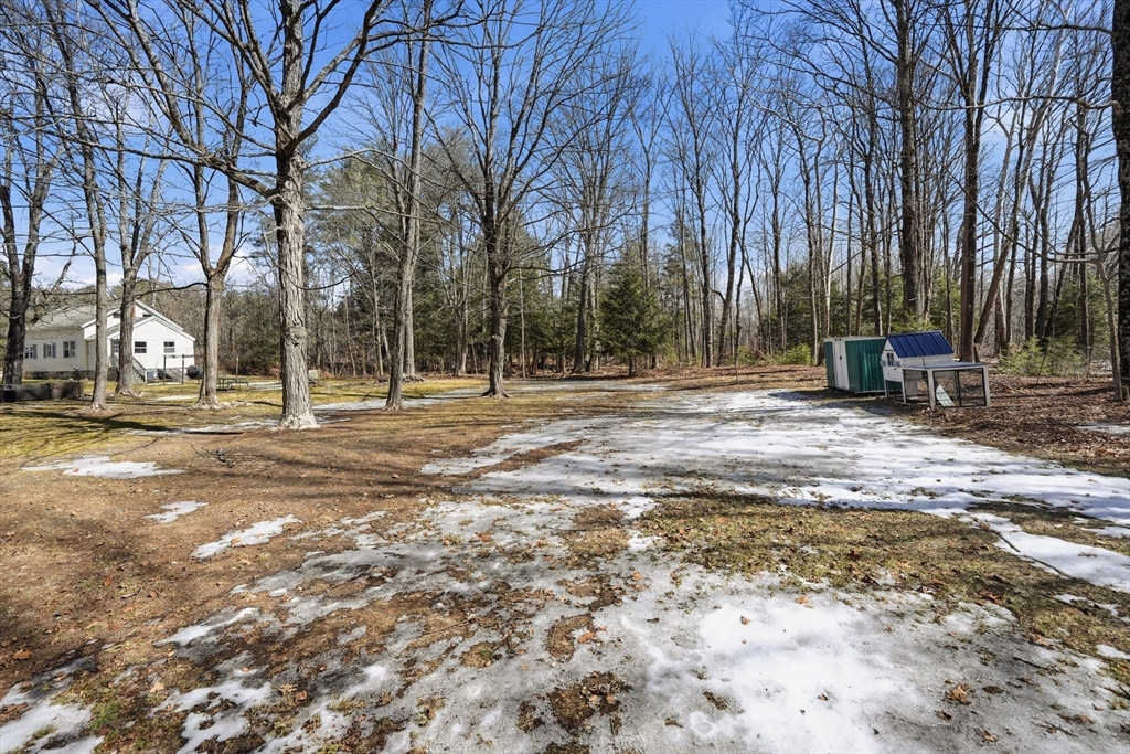 5 Torrey Street Easthampton, MA 01027 - Photo 28 of 36