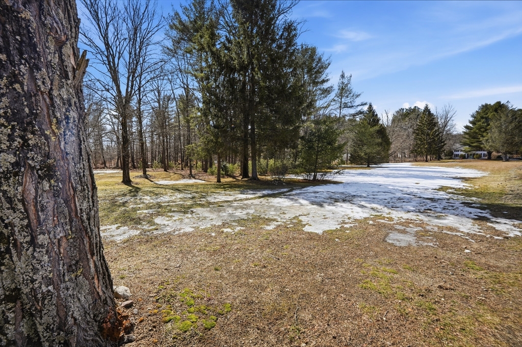 5 Torrey Street Easthampton, MA 01027 - Photo 31 of 36
