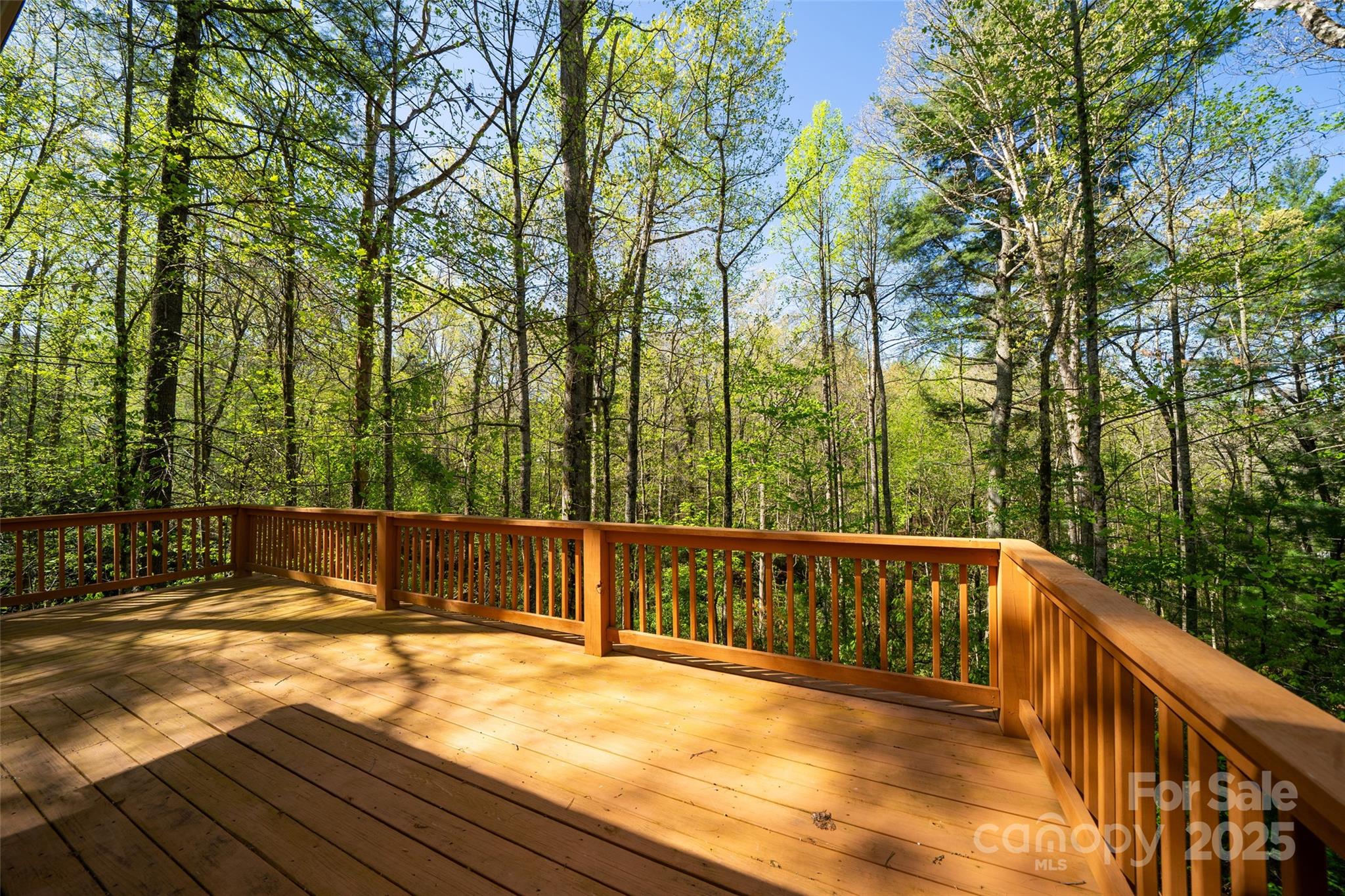 145 Jeter Mountain Road Hendersonville, NC 28739 - Photo 16 of 31 a view of a balcony with trees
