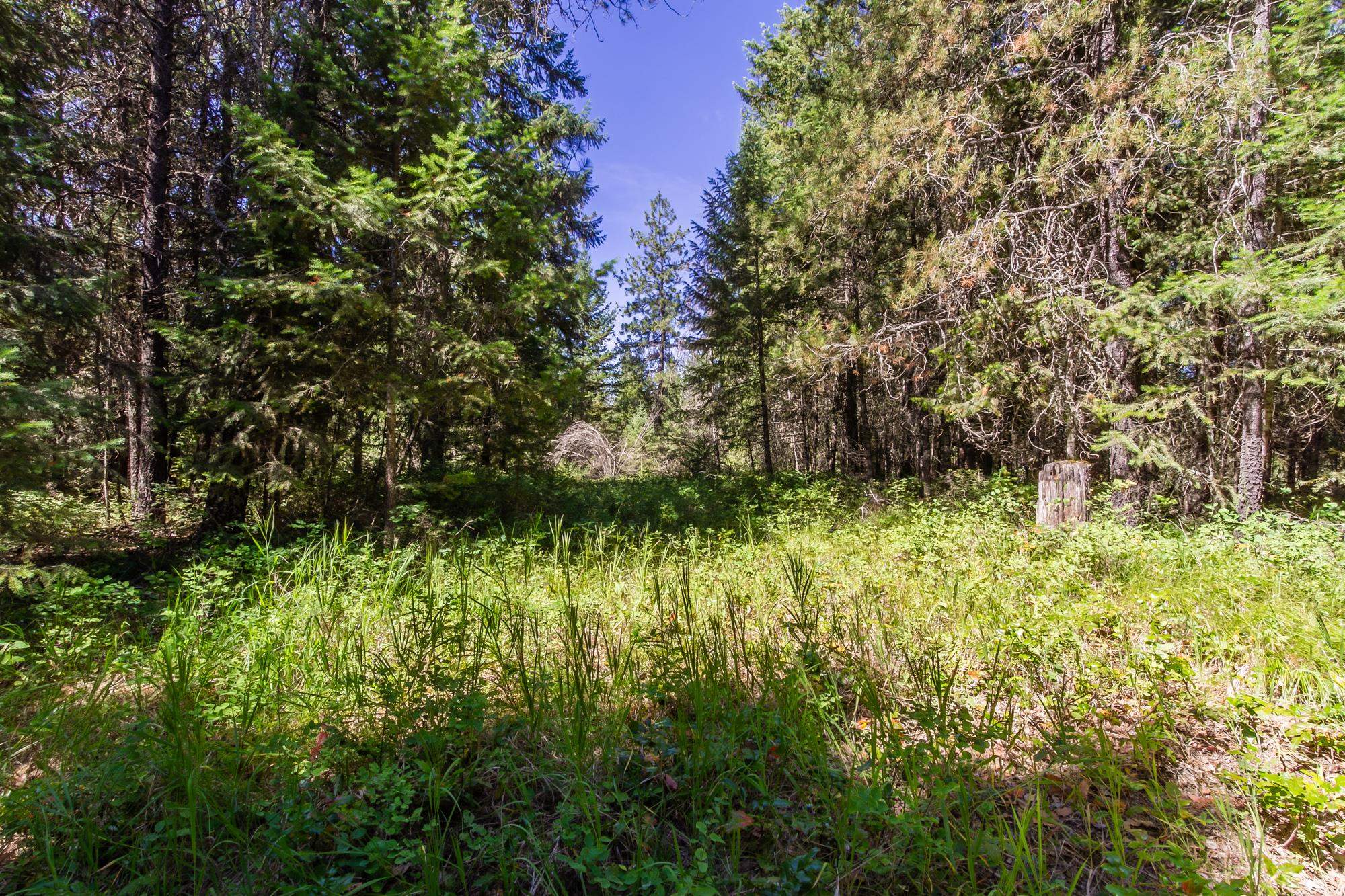 2443 Eagle-Lambert Road Chewelah, WA 99109 - Photo 14 of 26