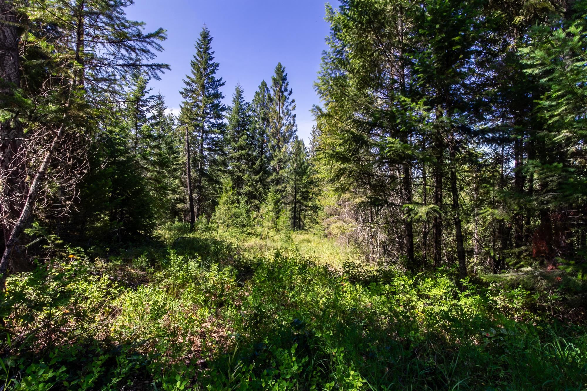 2443 Eagle-Lambert Road Chewelah, WA 99109 - Photo 15 of 26