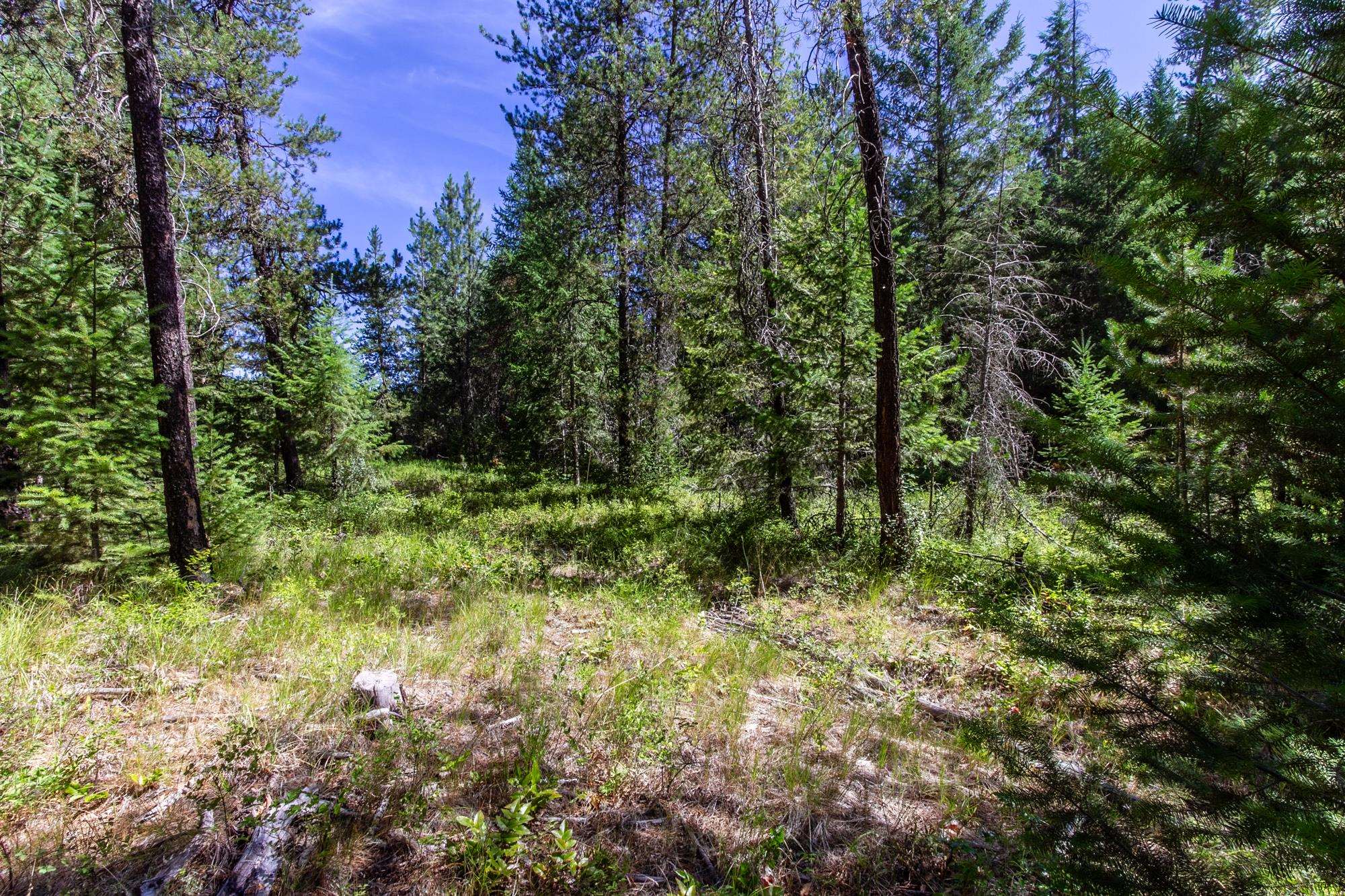 2443 Eagle-Lambert Road Chewelah, WA 99109 - Photo 18 of 26