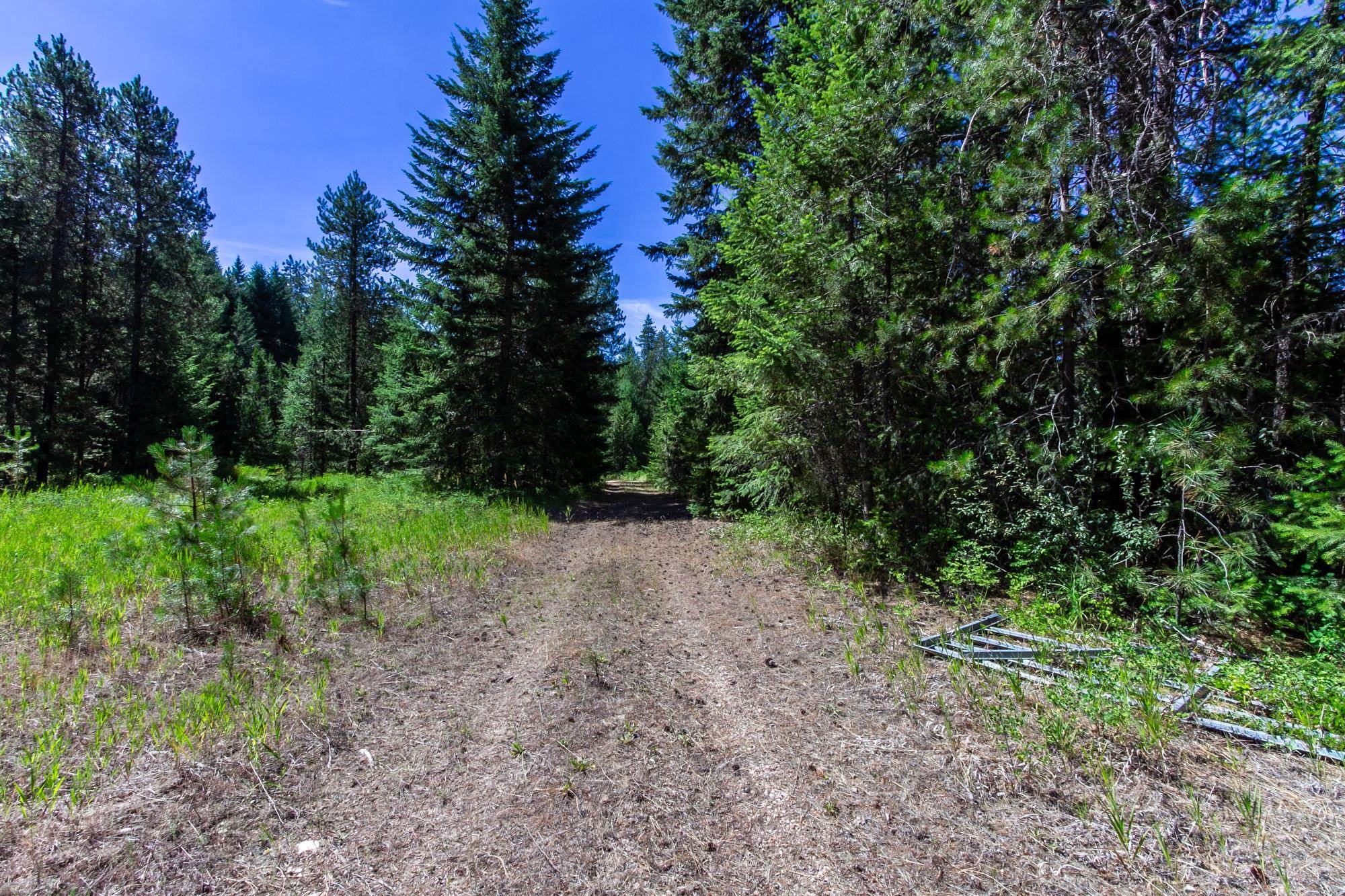 2443 Eagle-Lambert Road Chewelah, WA 99109 - Photo 19 of 26